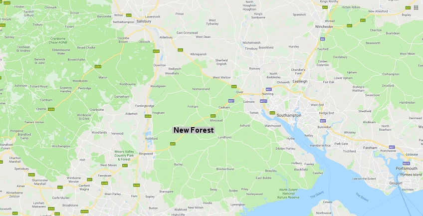 Local website support and design in the New Forest Hampshire and Dorset